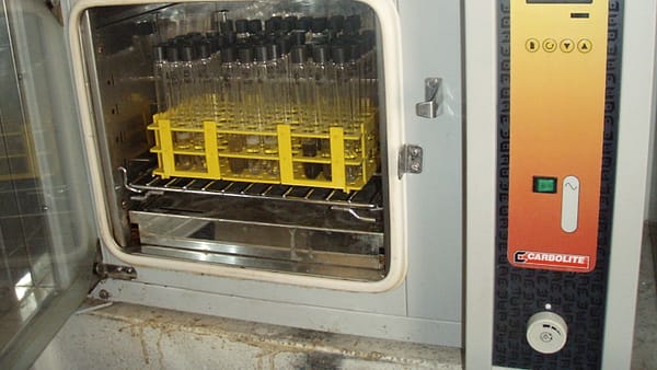 A rack of sample tubes standing inside a laboratory incubator