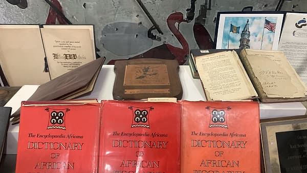 The first volumes of an encyclopedia standing together on a shelf