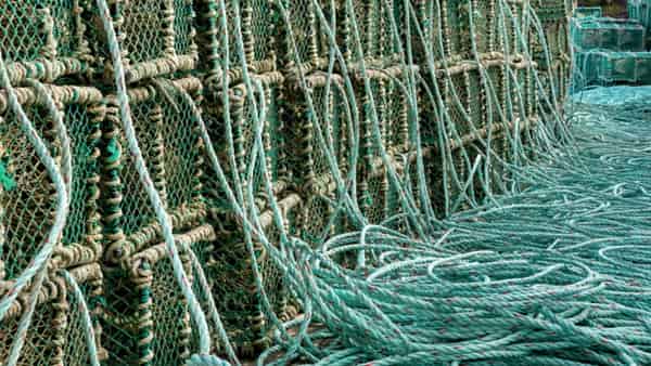 Stacks of wooden lobster traps piled in rows at a harbor under daylight