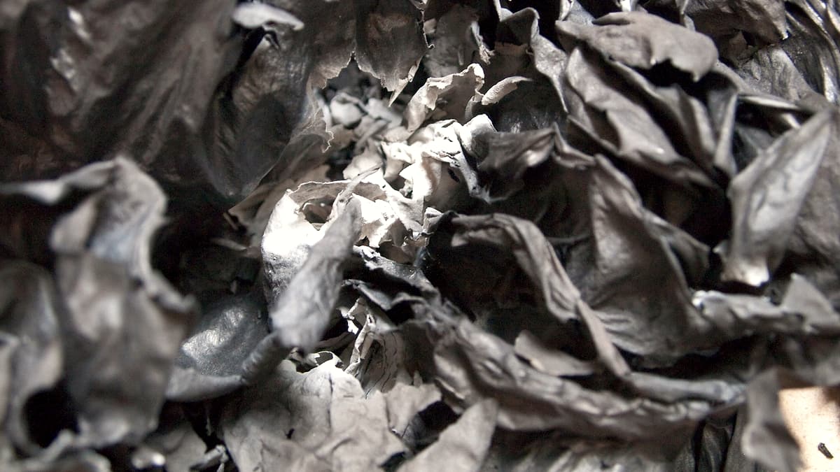 Burnt paper and ash lying on a dark surface, the edges of the sheets charred